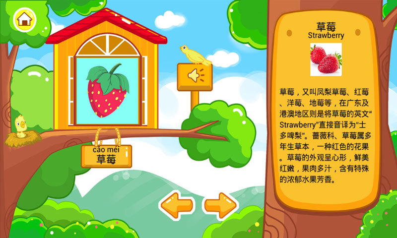 【免費益智App】儿童宝宝认水果-APP點子