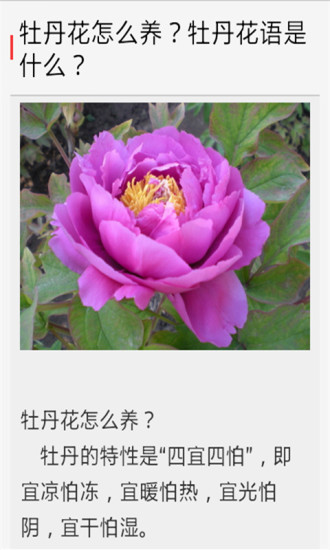 免費下載生活APP|花卉花艺 app開箱文|APP開箱王