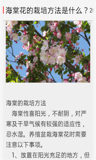 免費下載生活APP|花卉花艺 app開箱文|APP開箱王