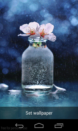 雨中浮动的花动态玩壁纸