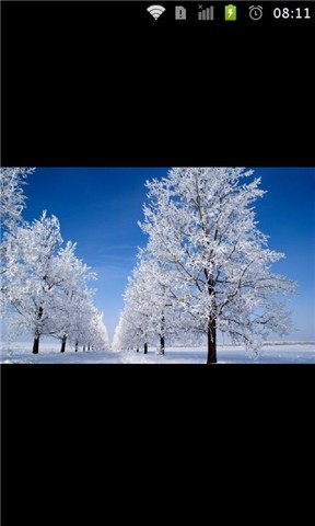 冬季雪的景观唯美桌面壁纸