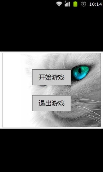 灵动小猫主题拼图