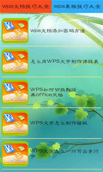 WPS从入门到精通