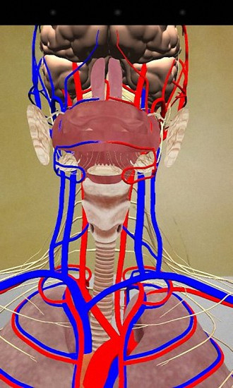 人体解剖智能版