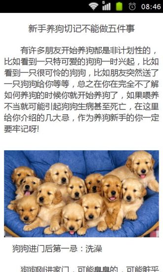 新手养狗切记不能做五件事