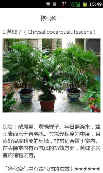 免費下載生活APP|室内植物清净空气排行榜 app開箱文|APP開箱王