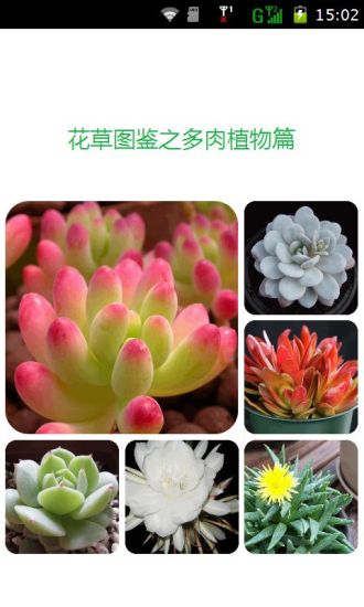 免費下載生活APP|花草图鉴之多肉植物篇 app開箱文|APP開箱王