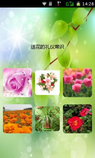 免費下載社交APP|送花的礼仪常识 app開箱文|APP開箱王