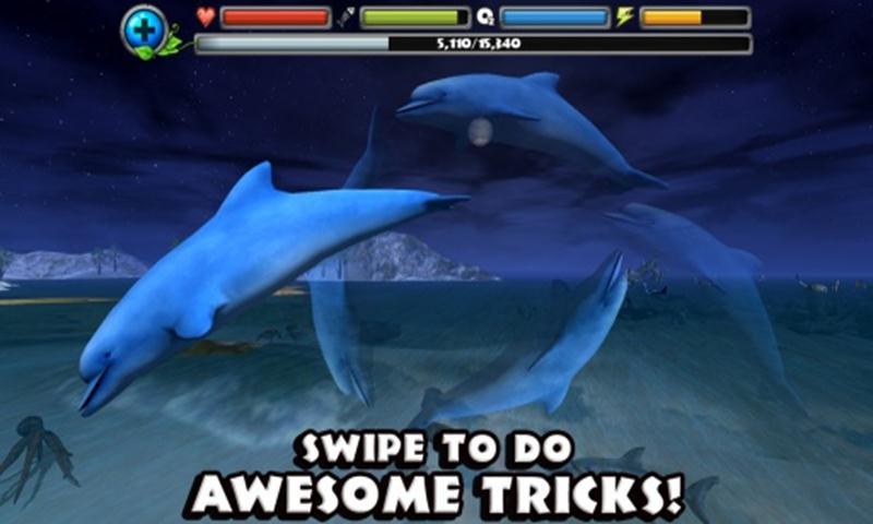 海豚模拟器3D