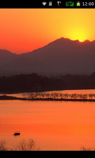 寧夏枸杞種子|最夯寧夏枸杞種子介紹宁夏中宁枸杞app(共26筆1|2頁 ...