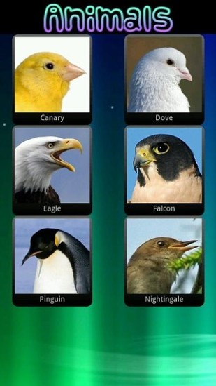 免費下載攝影APP|Animal sounds app開箱文|APP開箱王