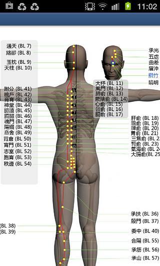 經絡與穴位