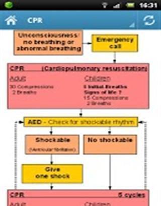 Paramedics - First Aid