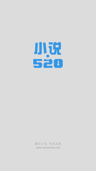 小说520