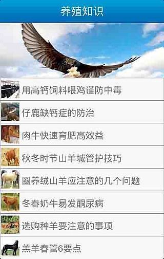 免費下載新聞APP|畜牧养殖 app開箱文|APP開箱王