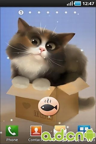 免費下載工具APP|盒子猫动态壁纸 app開箱文|APP開箱王