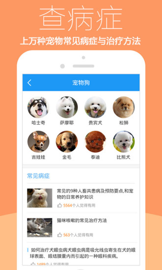 免費下載生活APP|爱宠医生 app開箱文|APP開箱王