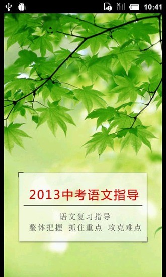 2013中考语文复习