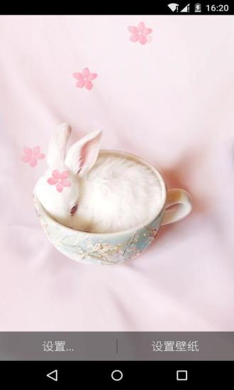 可爱的兔子粉色梦象动态壁纸
