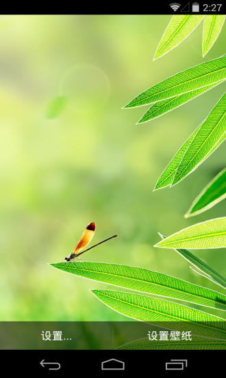 夏叶落蜓梦象动态壁纸