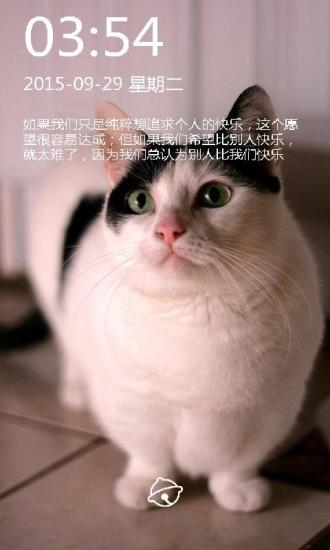 快乐的猫咪