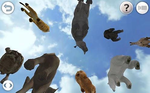 真实动物 Real Animals v1.0