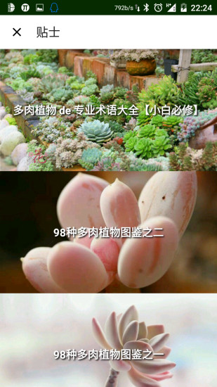 植物生活馆