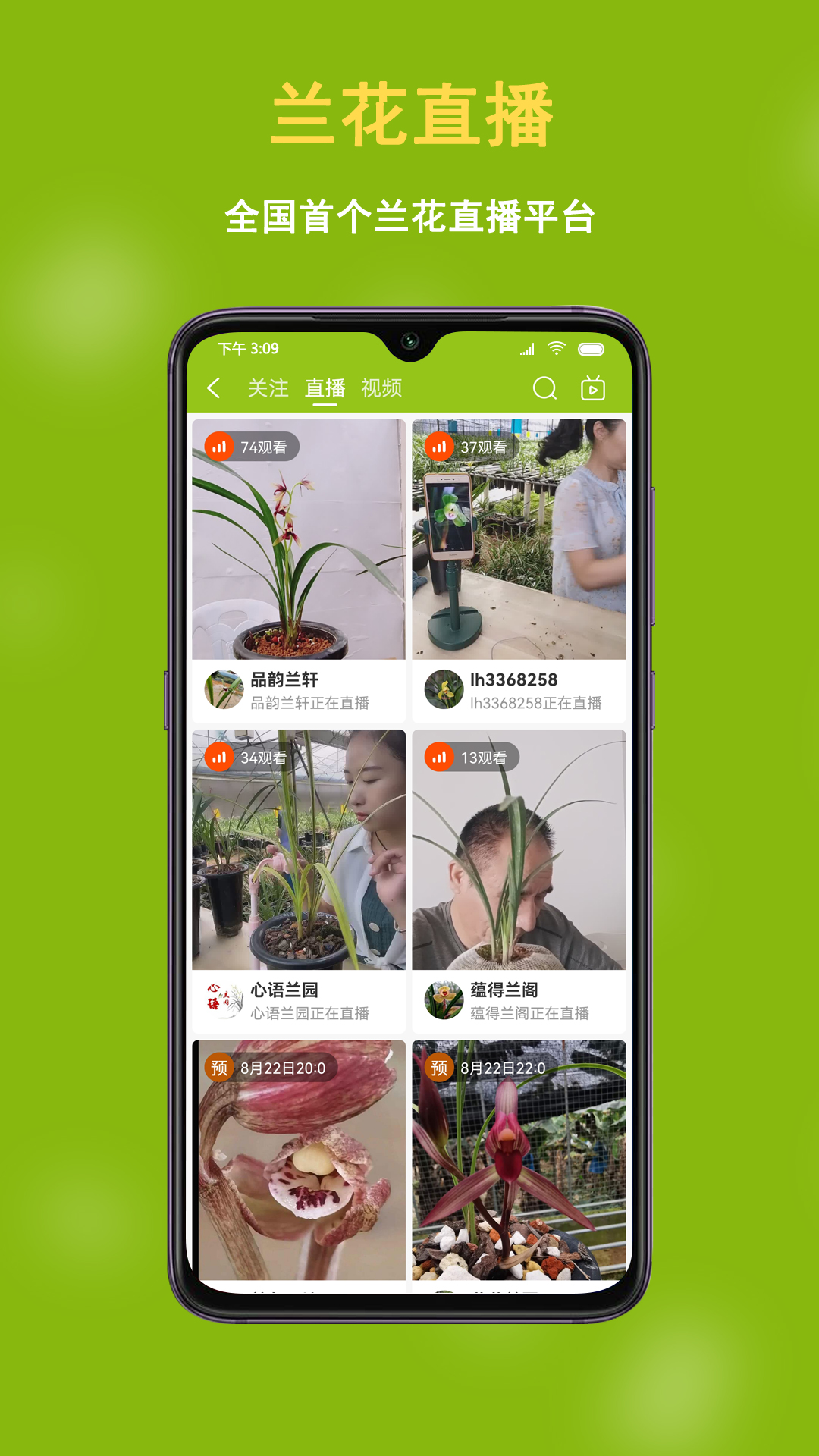 兰花交易网 截图 3