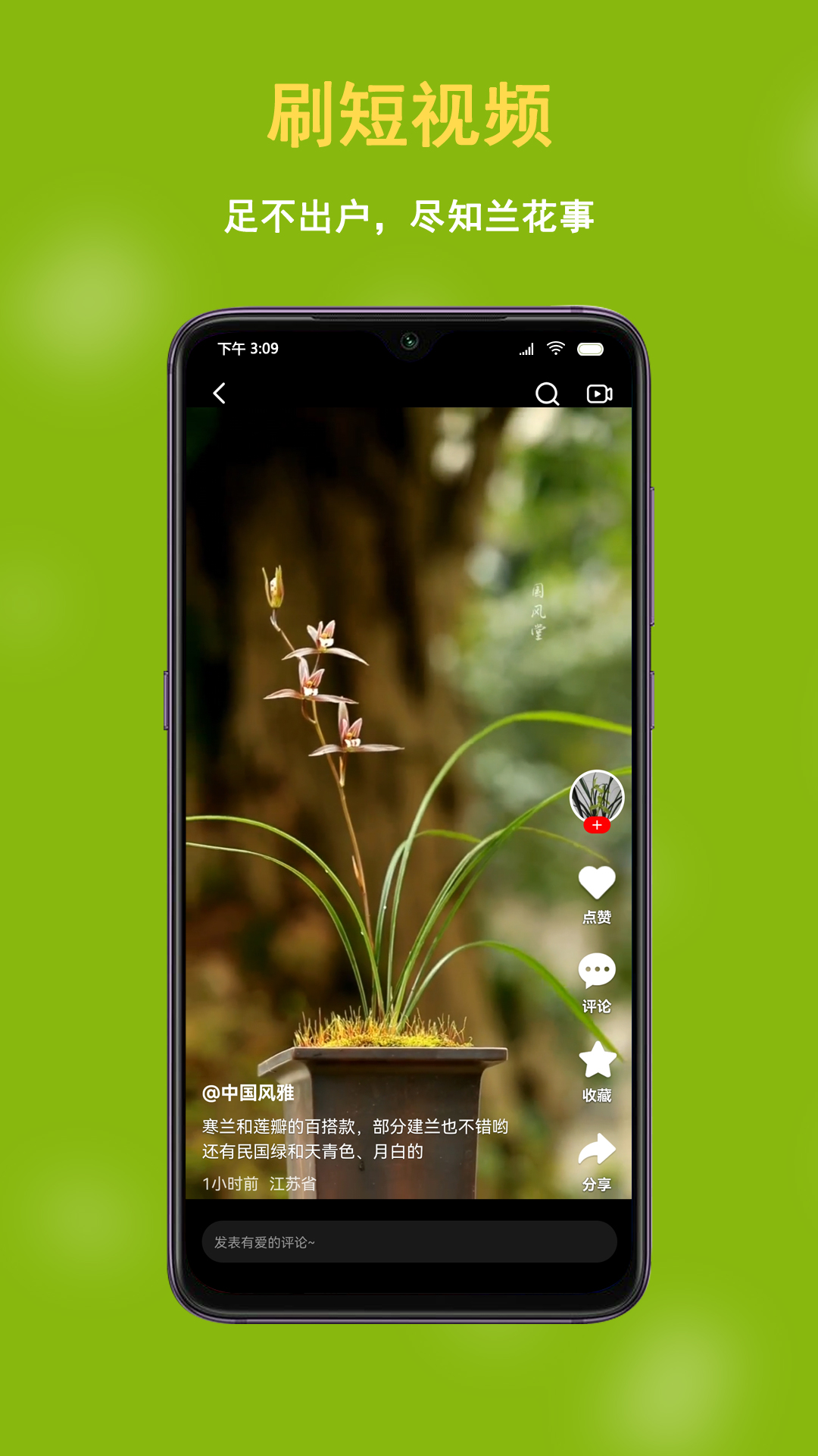 兰花交易网 截图 4