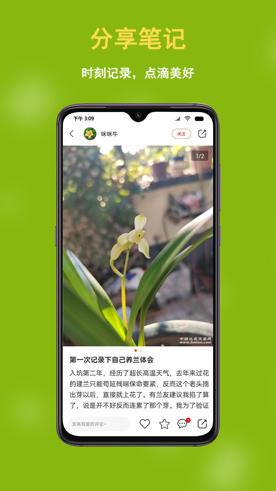 兰花交易网 截图 5