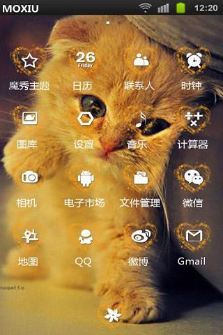 免費下載工具APP|萌猫桌面主题-魔秀 app開箱文|APP開箱王