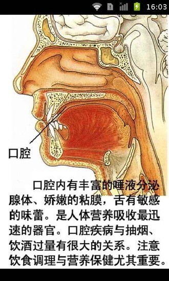 人体地图器官分析