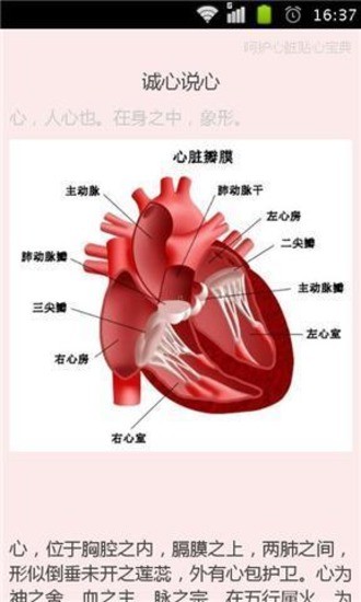 MX Player APP 下載 - 馬呼免費軟體下載