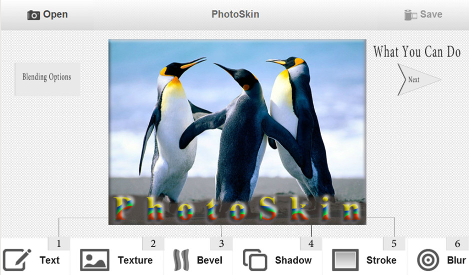 PhotoSkin