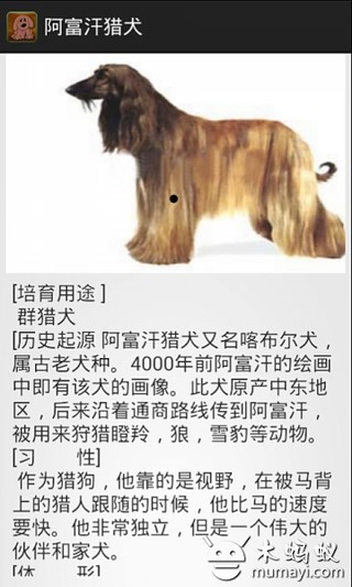 免費下載娛樂APP|名犬大全 app開箱文|APP開箱王