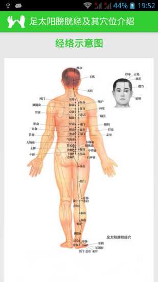 经络穴位按摩手册