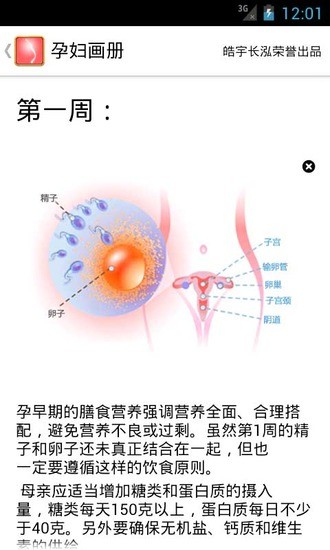 【免費健康App】孕妇画册-APP點子