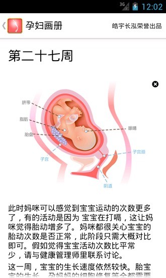 【免費健康App】孕妇画册-APP點子