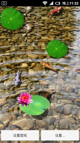 【稻田養魚】富農網