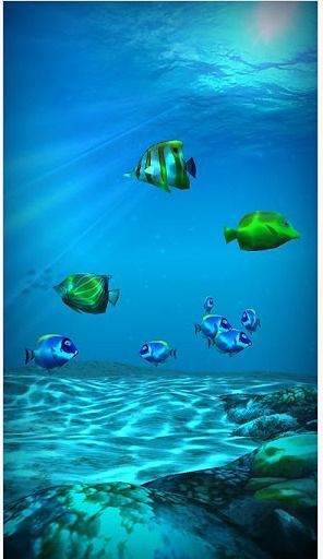 免費下載工具APP|海底世界高清壁纸(Ocean HD) v1.3 app開箱文|APP開箱王