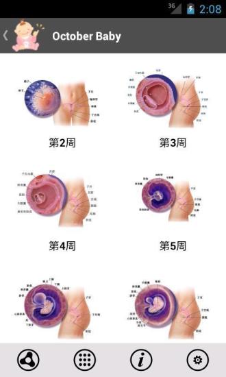 免費下載休閒APP|怀孕十个月 app開箱文|APP開箱王