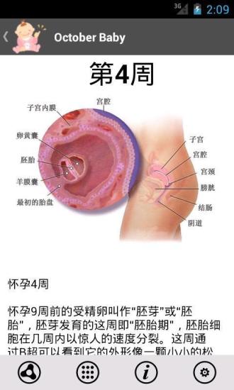 免費下載休閒APP|怀孕十个月 app開箱文|APP開箱王