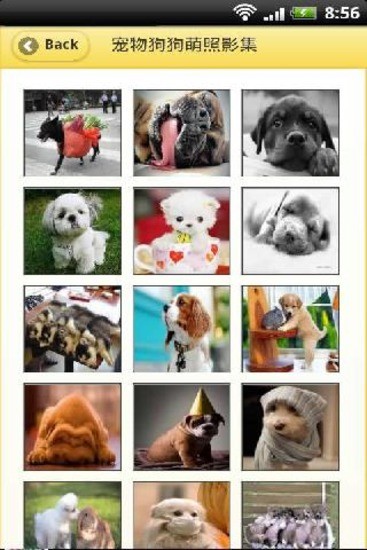 免費下載生活APP|宠物狗狗萌照影集 app開箱文|APP開箱王