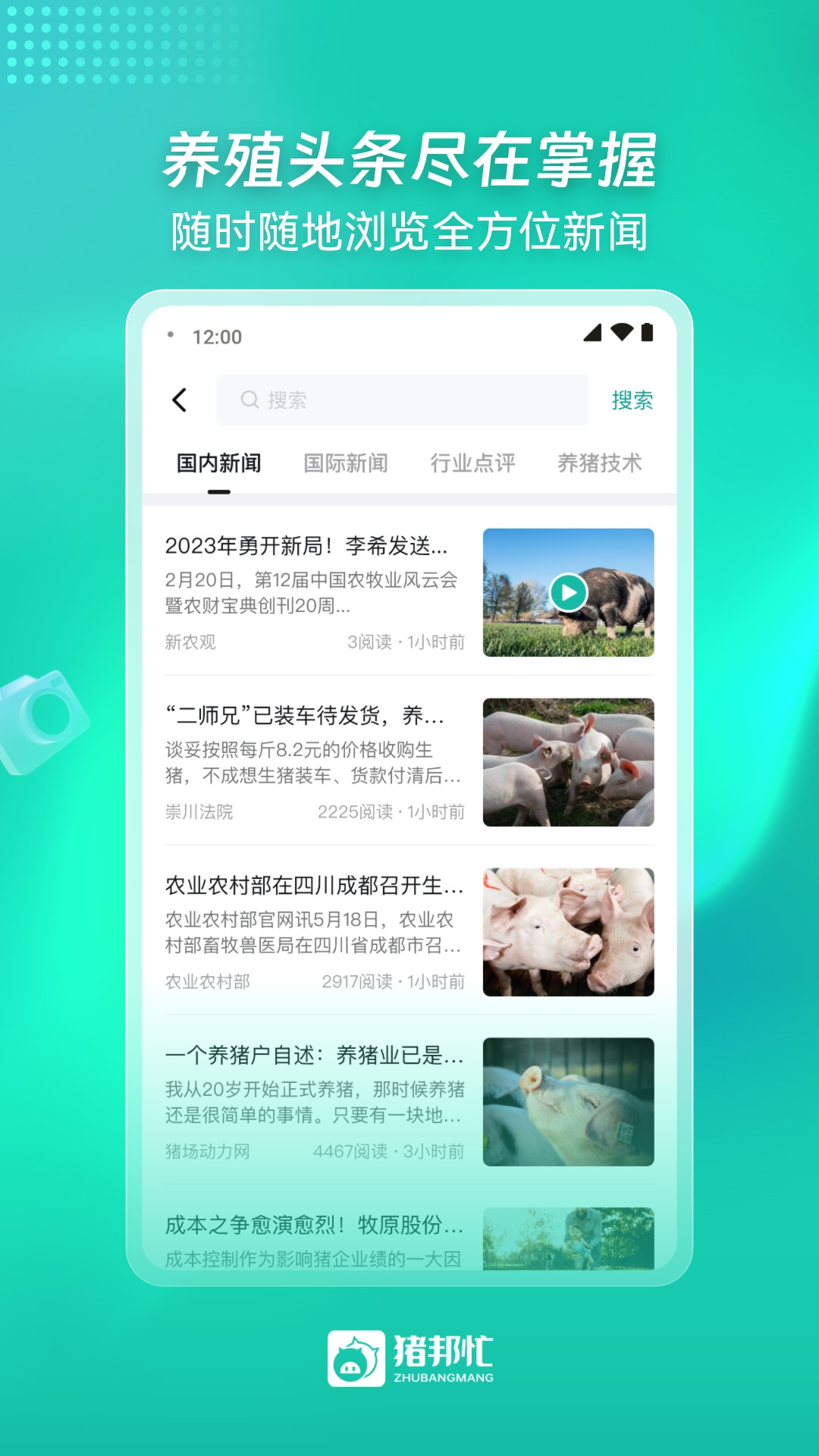 猪邦忙 截图 5