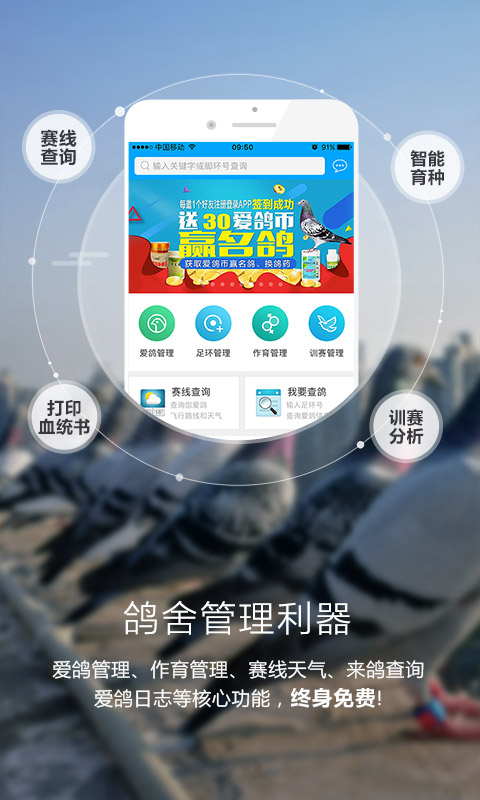 爱鸽者 截图 2