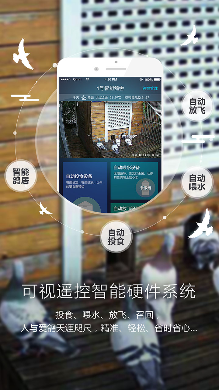 爱鸽者 截图 3