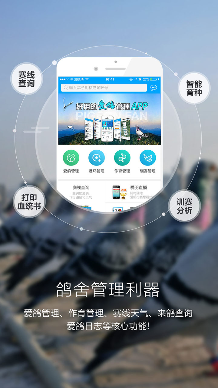 爱鸽者 截图 4
