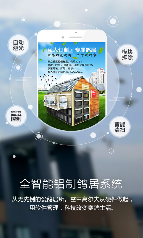 爱鸽者 截图 5