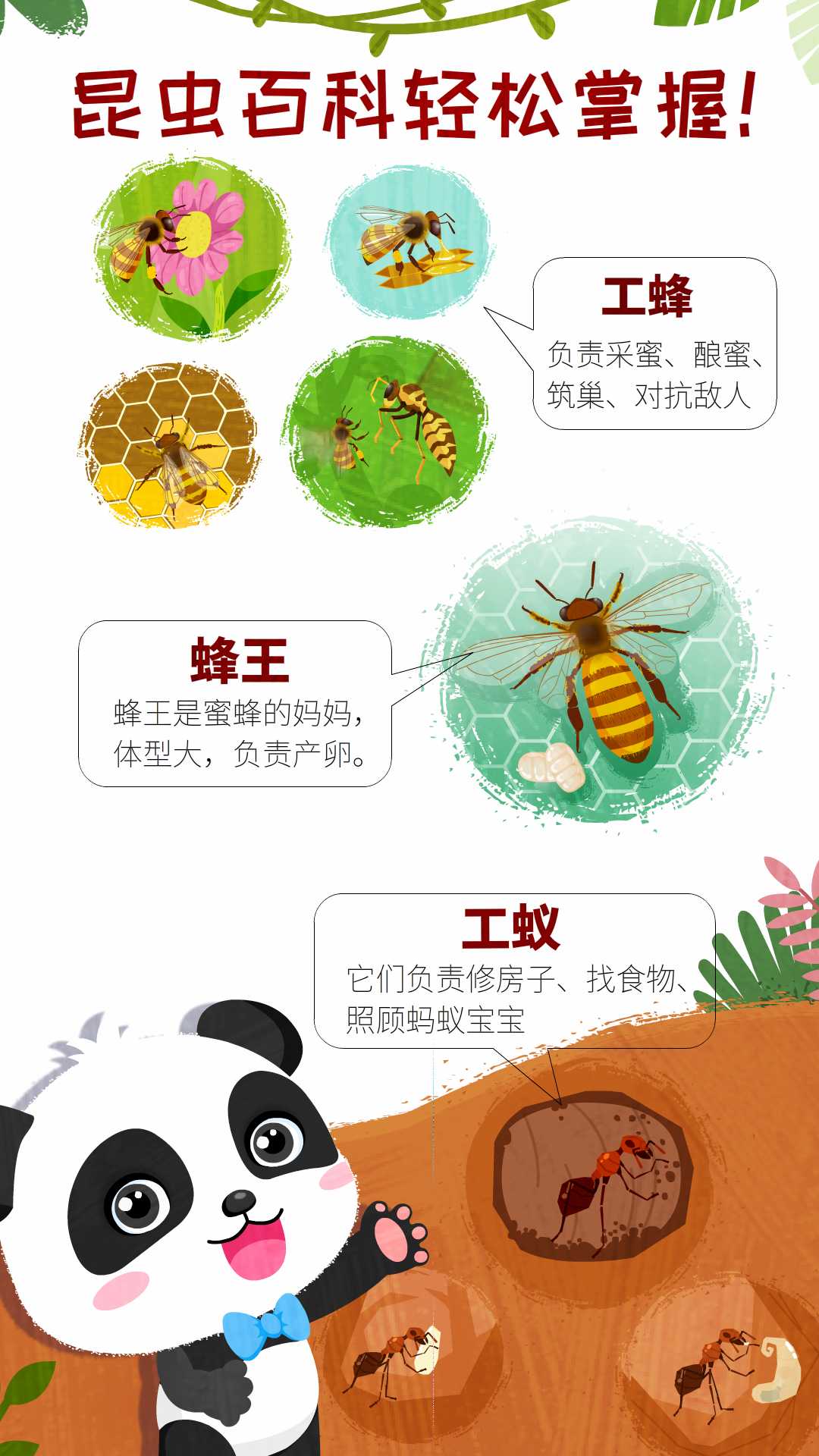 奇妙昆虫世界 截图 4