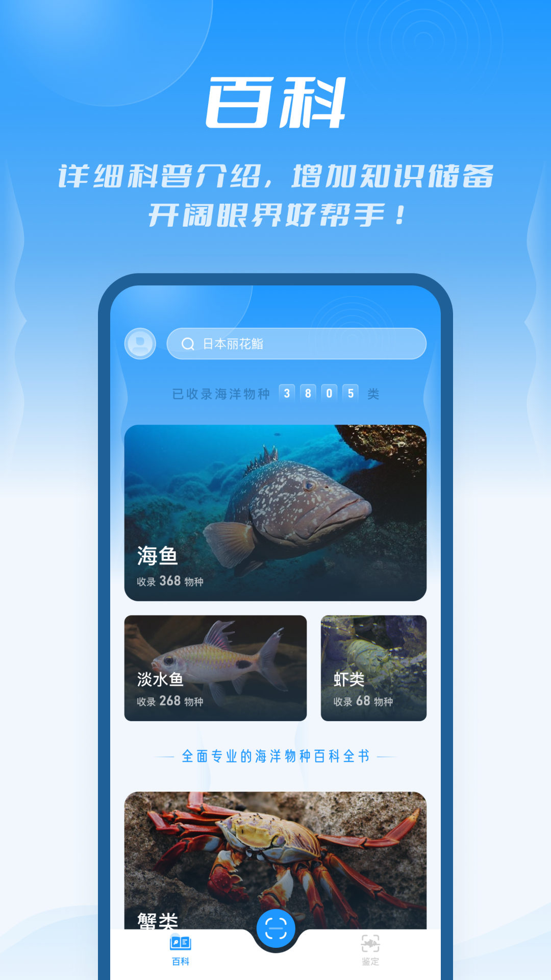 问鱼 截图 2